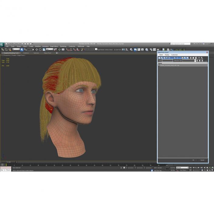 3D Female Caucasian Head with Hair