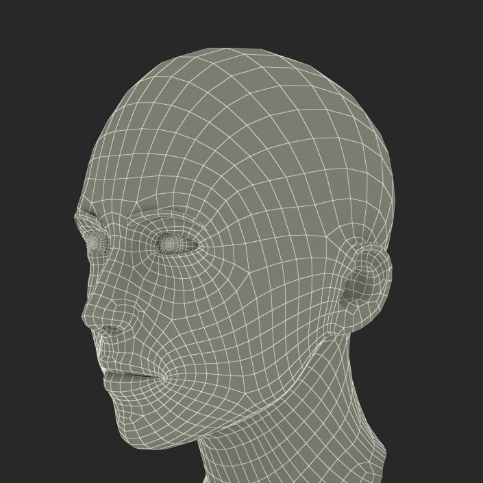 3D Female Caucasian Head with Hair