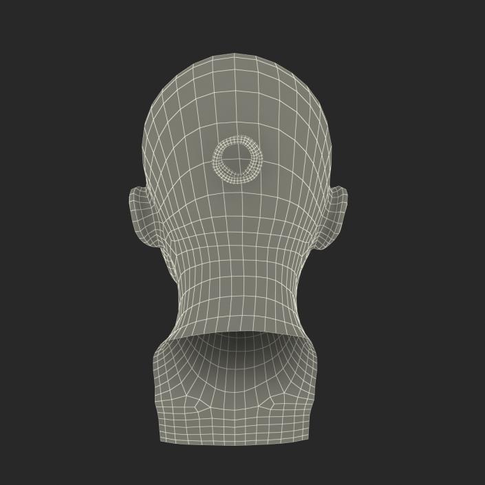 3D Female Caucasian Head with Hair