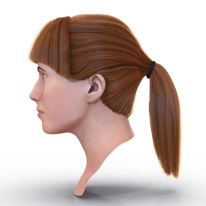 3D Female Caucasian Head Rigged model