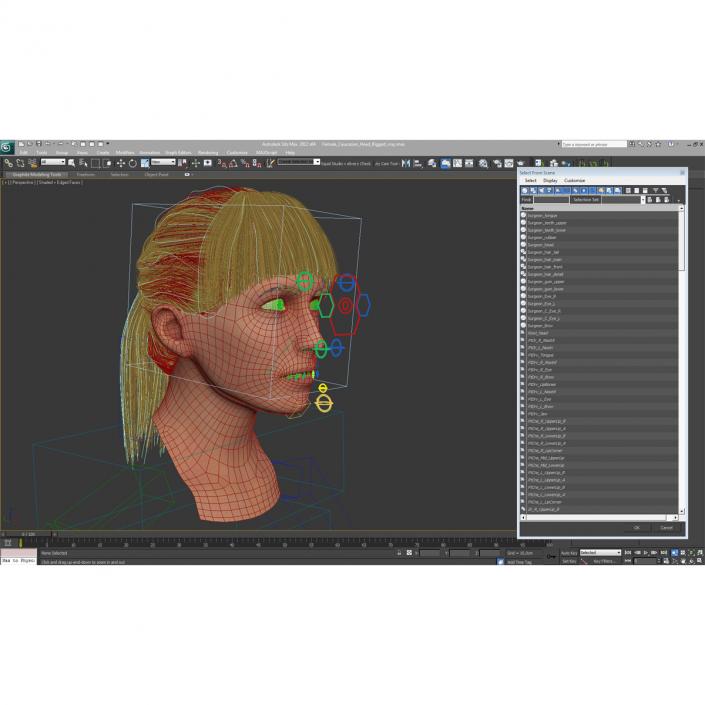 3D Female Caucasian Head Rigged model