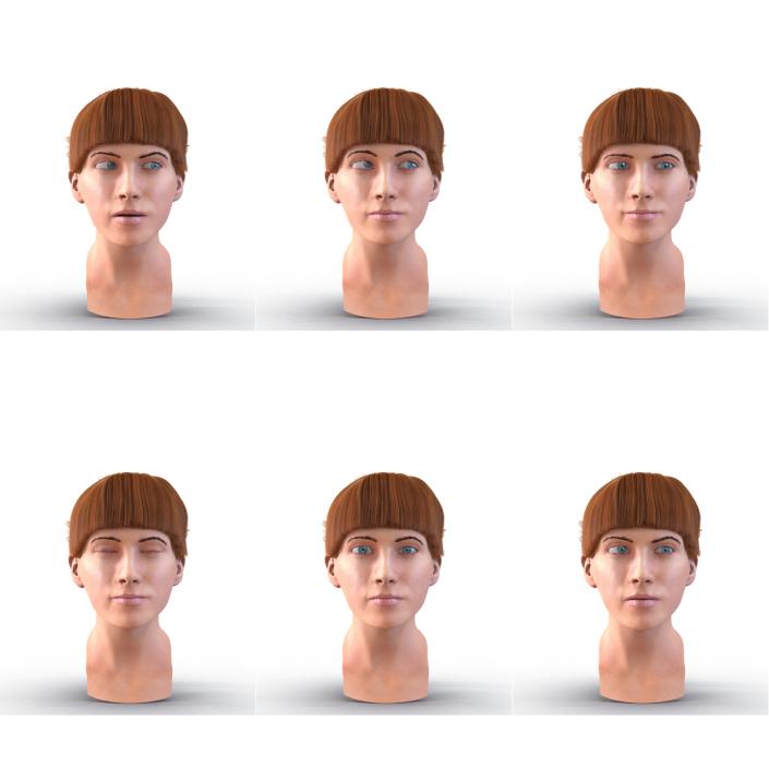 3D Female Caucasian Head Rigged model