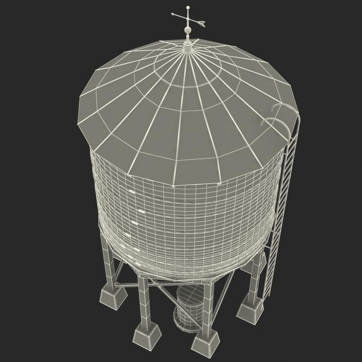 Rooftop Water Tower 3D model