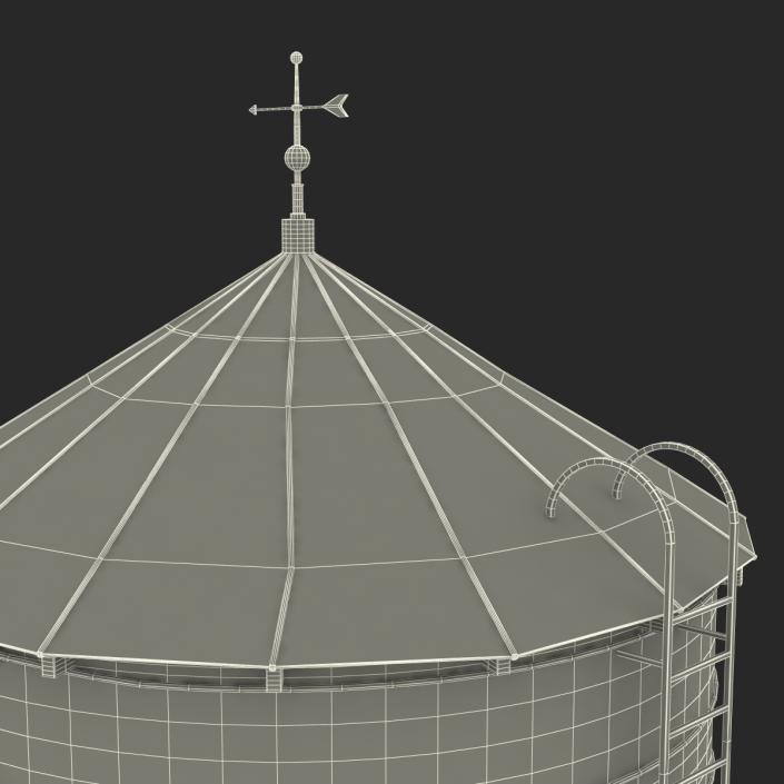 Rooftop Water Tower 3D model