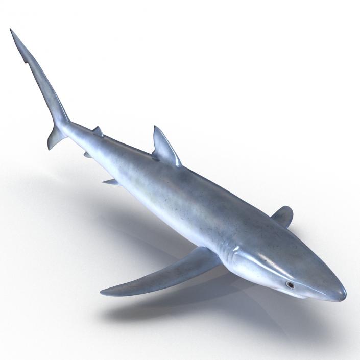 Blue Shark Rigged 3D