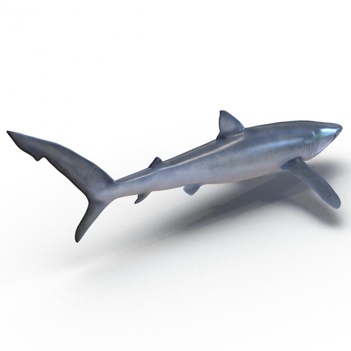 Blue Shark Rigged 3D