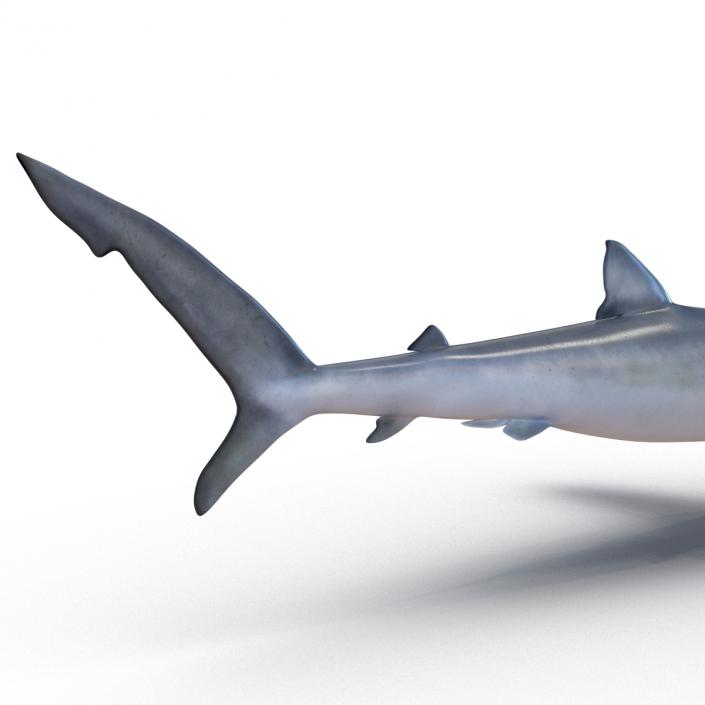 Blue Shark Rigged 3D