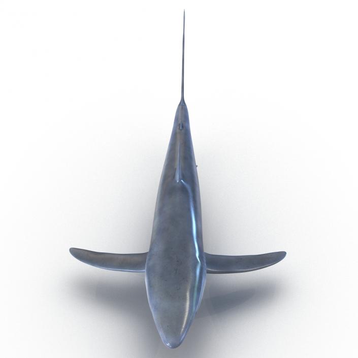 Blue Shark Rigged 3D