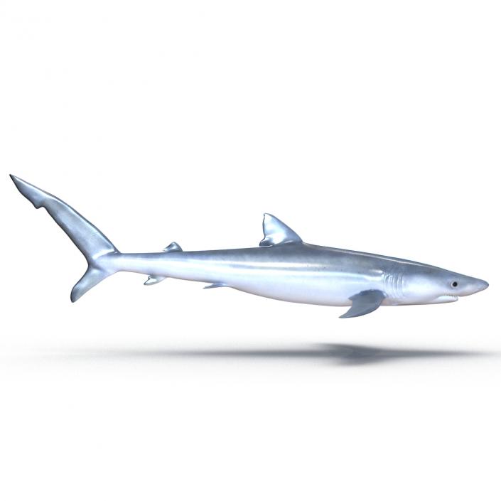 Blue Shark Rigged 3D