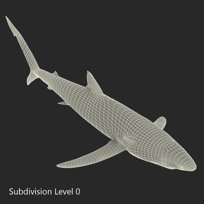 Blue Shark Rigged 3D