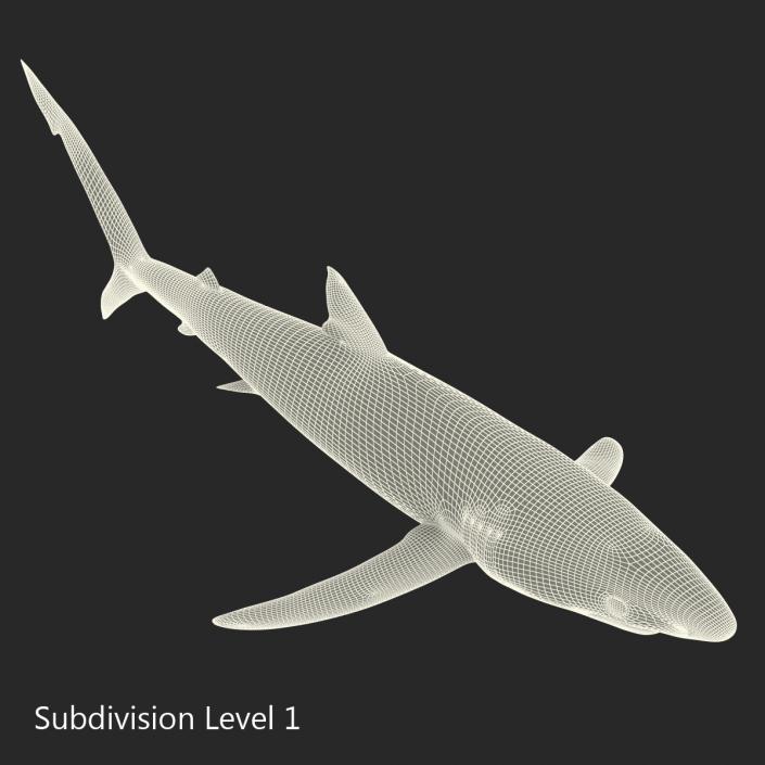 Blue Shark Rigged 3D