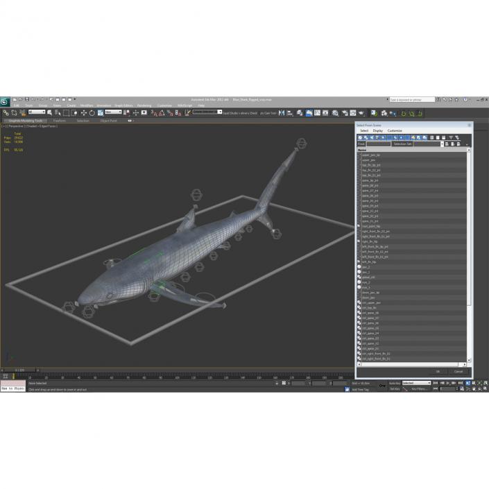 Blue Shark Rigged 3D