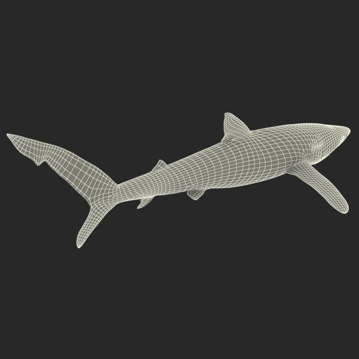 Blue Shark Rigged 3D