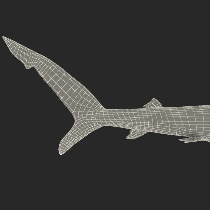 Blue Shark Rigged 3D