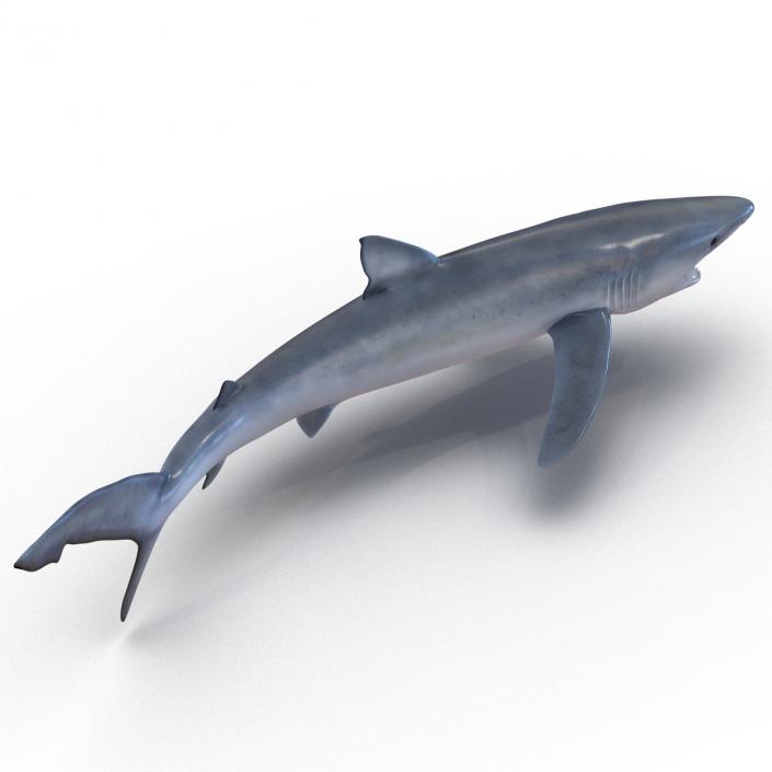 Blue Shark Pose 2 3D