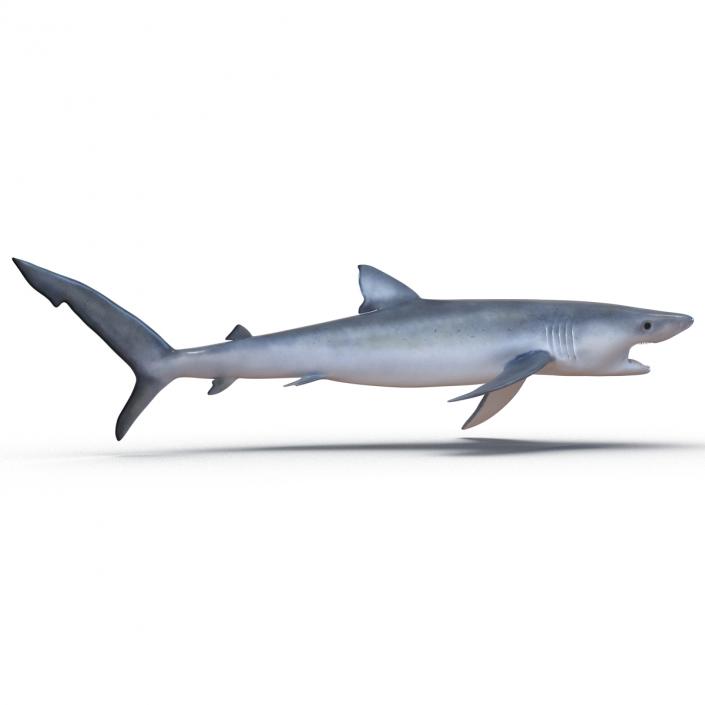 Blue Shark Pose 2 3D