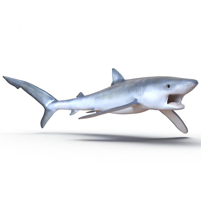 Blue Shark Pose 2 3D