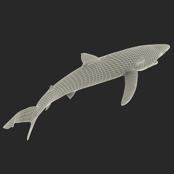 Blue Shark Pose 2 3D