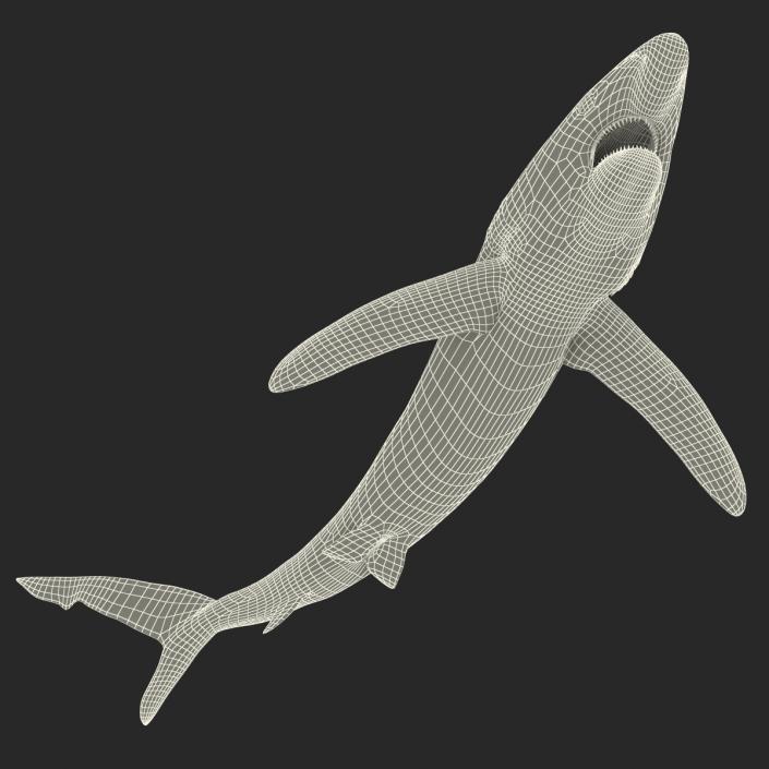 Blue Shark Pose 2 3D