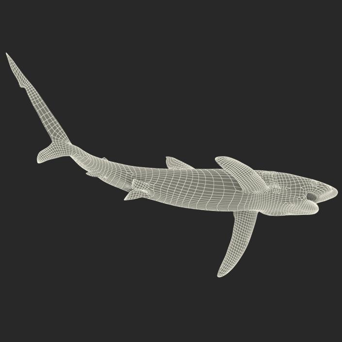 Blue Shark Pose 2 3D