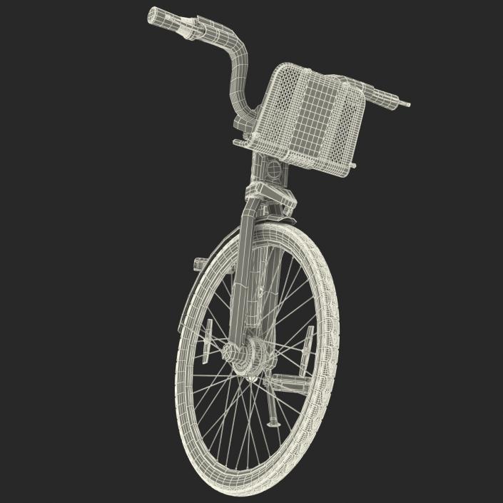 New York Citibike 3D