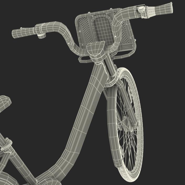 New York Citibike 3D