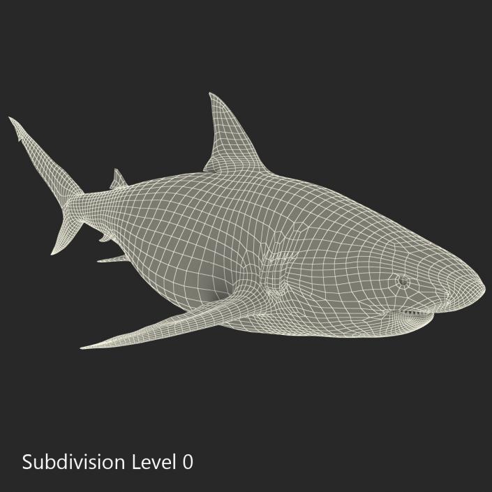 Pigeye Shark 3D