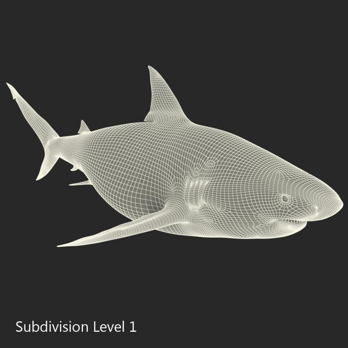 Pigeye Shark 3D