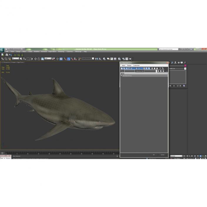 Pigeye Shark 3D