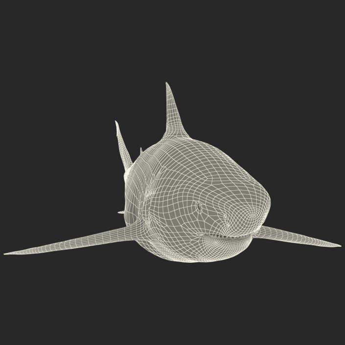 Pigeye Shark 3D