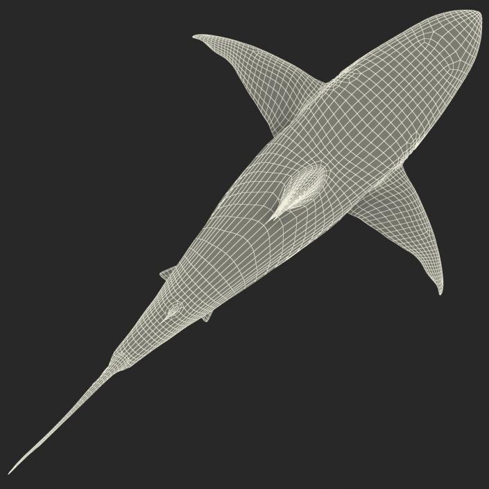 Pigeye Shark 3D