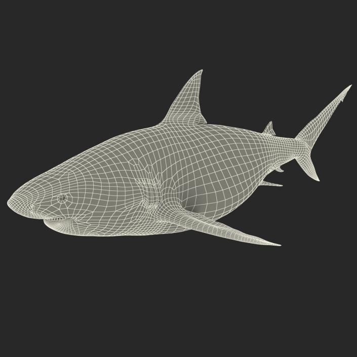 Pigeye Shark 3D