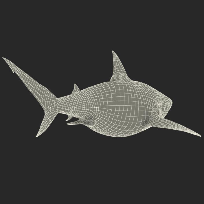 Pigeye Shark 3D