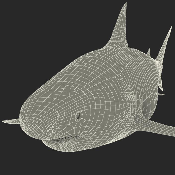 Pigeye Shark 3D