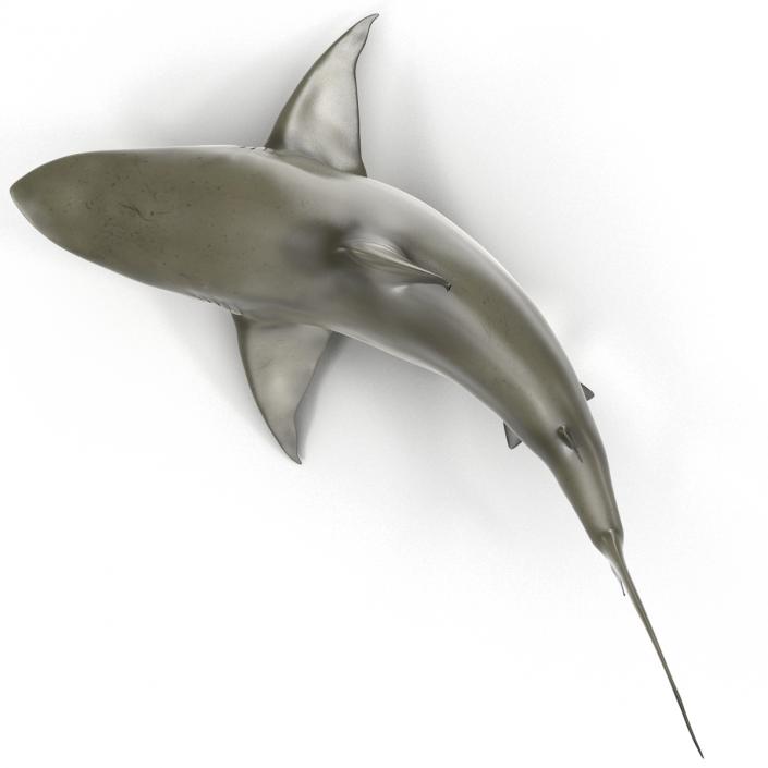 Pigeye Shark Pose 2 3D model