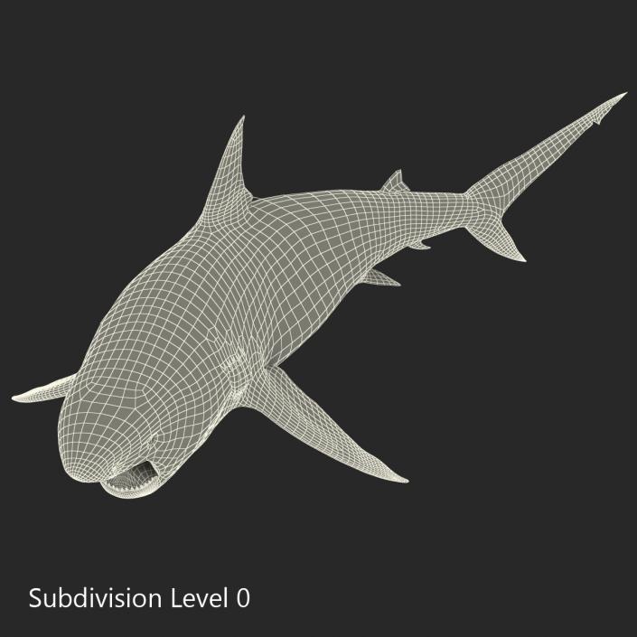 Pigeye Shark Pose 2 3D model