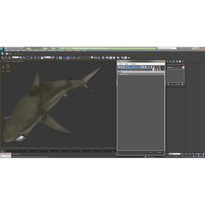 Pigeye Shark Pose 2 3D model