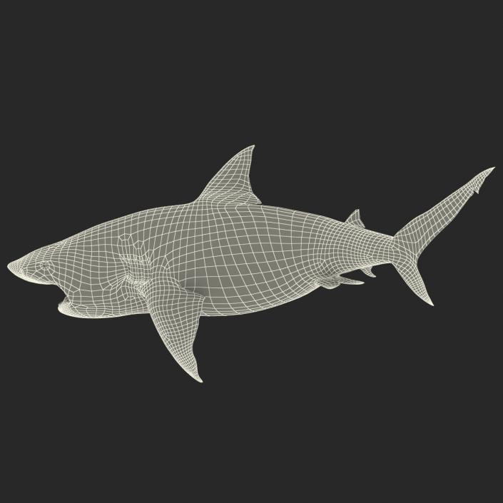 Pigeye Shark Pose 2 3D model