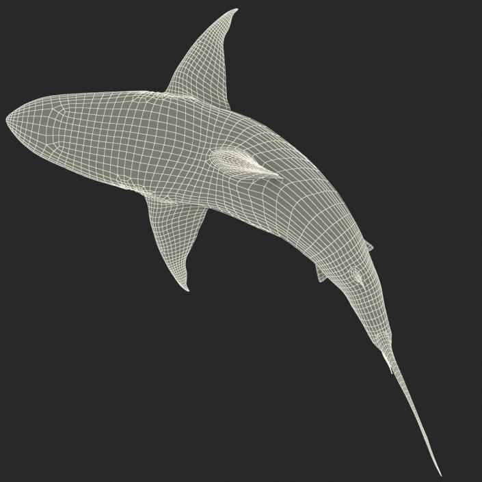 Pigeye Shark Pose 2 3D model