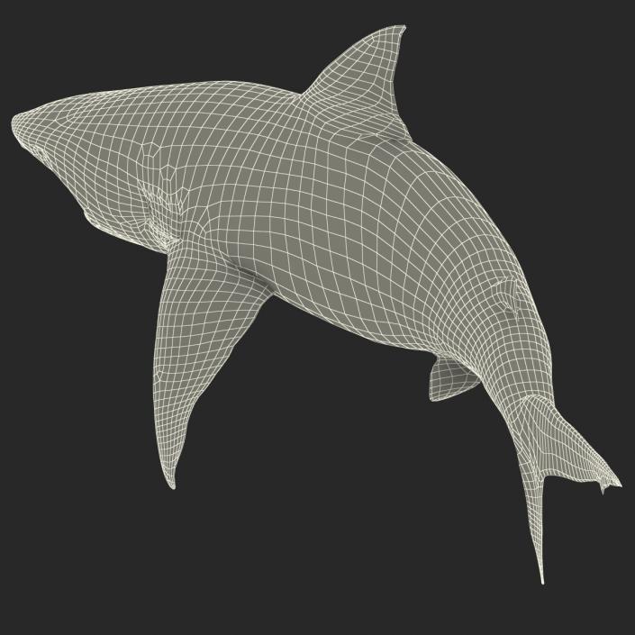 Pigeye Shark Pose 2 3D model