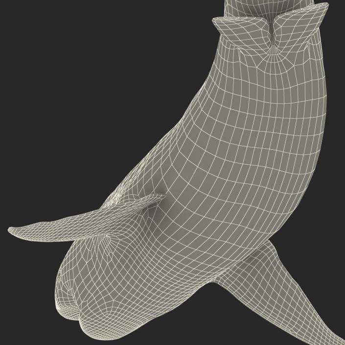 Pigeye Shark Pose 2 3D model