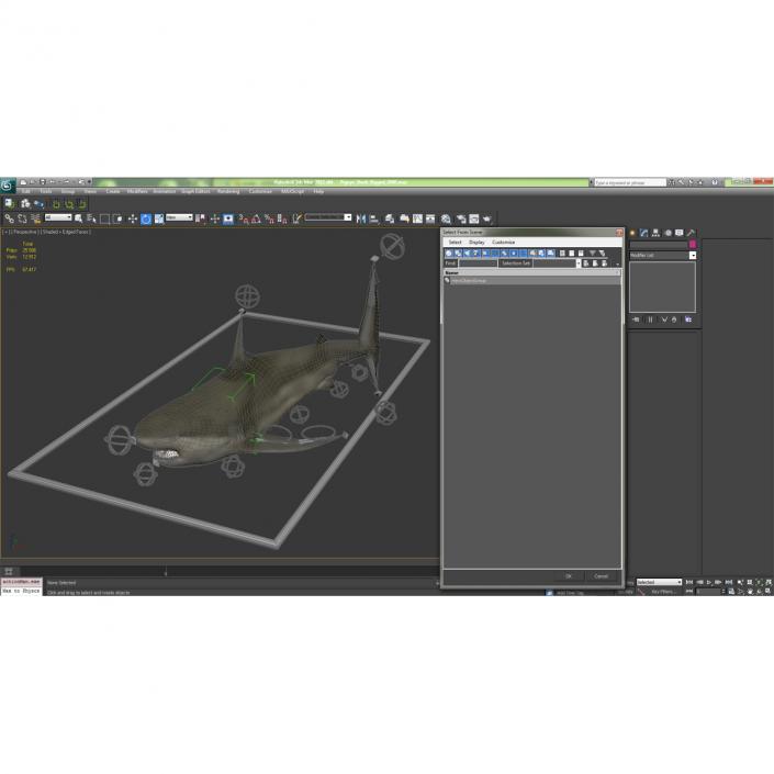 Pigeye Shark Rigged 3D model