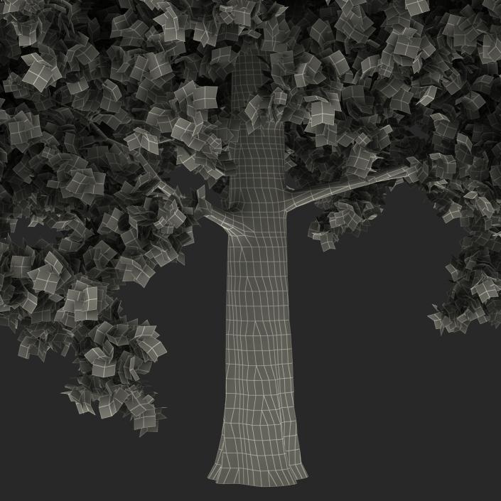 Red Oak Tree Autumn 3D model