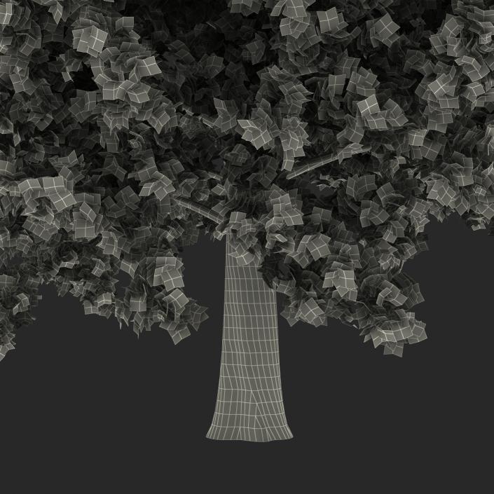 Red Oak Tree Autumn 3D model