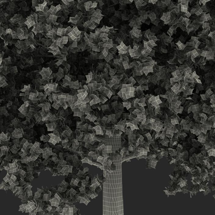 Red Oak Tree Autumn 3D model