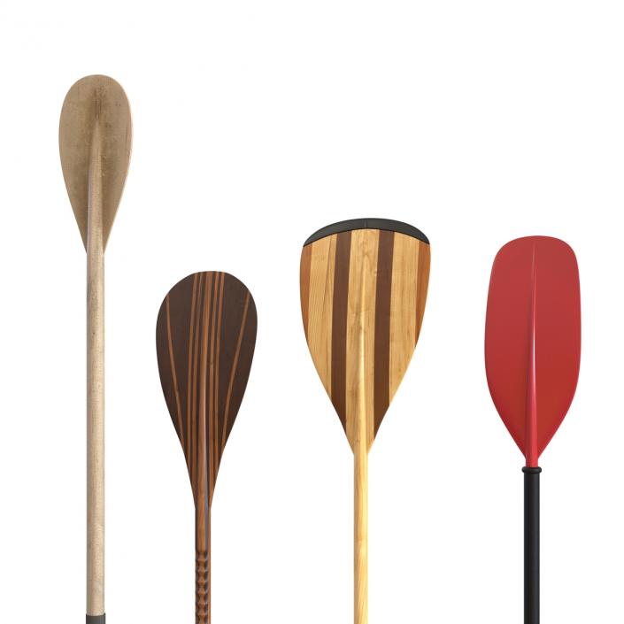 3D Paddles Collection model