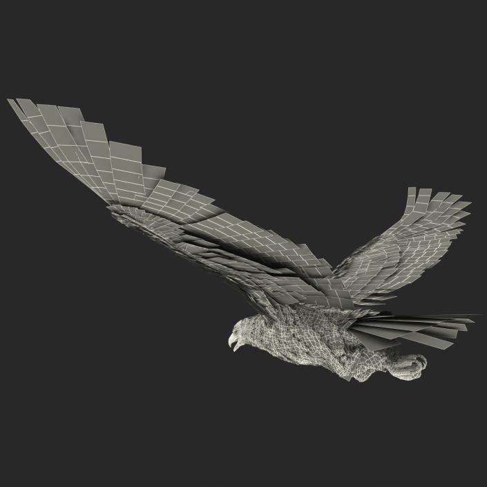 3D Imperial Eagle Pose 7