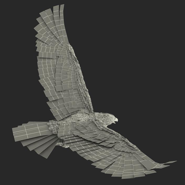 3D Imperial Eagle Pose 7