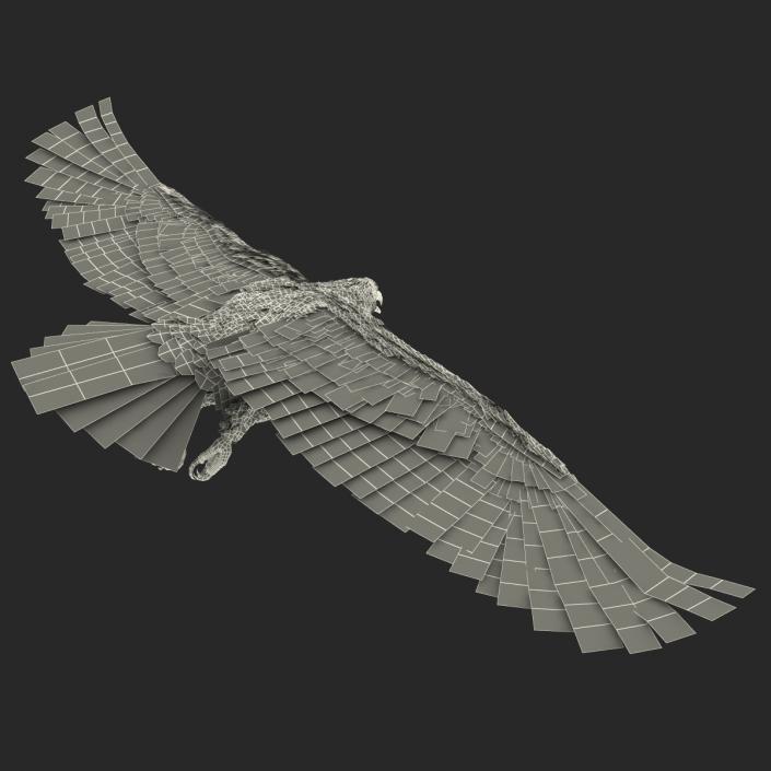 3D Imperial Eagle Pose 6