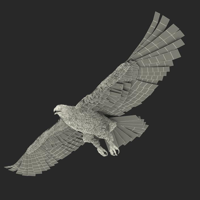 3D Imperial Eagle Pose 6